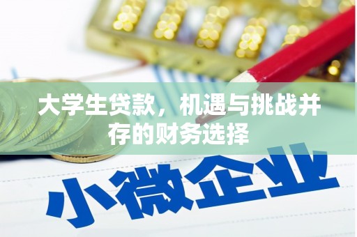 昭苏大学生贷款，机遇与挑战并存的财务选择