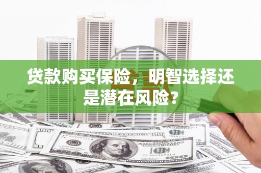 勐海贷款购买保险，明智选择还是潜在风险？