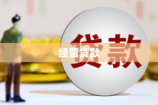友谊经营贷款