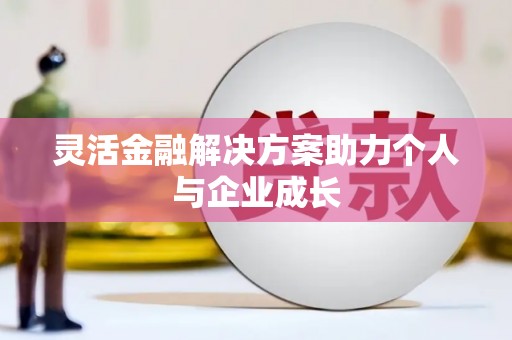金寨灵活金融解决方案助力个人与企业成长