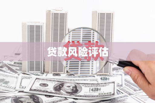 玉树贷款风险评估