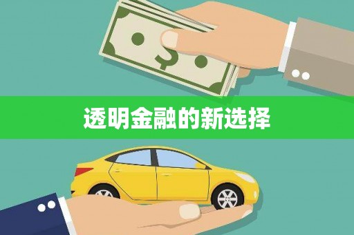 荔城透明金融的新选择