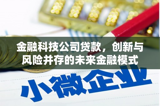 花莲金融科技公司贷款，创新与风险并存的未来金融模式