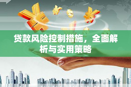 随州贷款风险控制措施，全面解析与实用策略