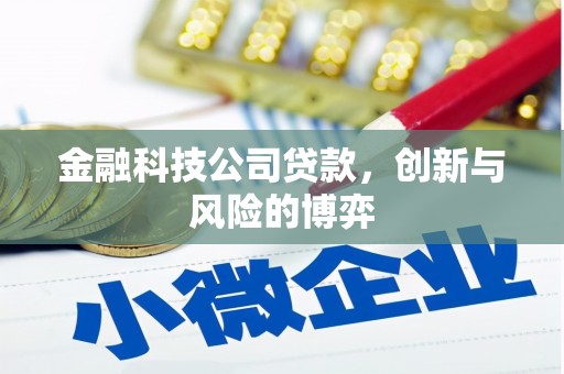 滑县金融科技公司贷款，创新与风险的博弈