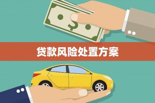 泗阳贷款风险处置方案