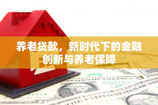 正阳养老贷款，新时代下的金融创新与养老保障