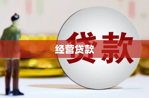 右玉经营贷款