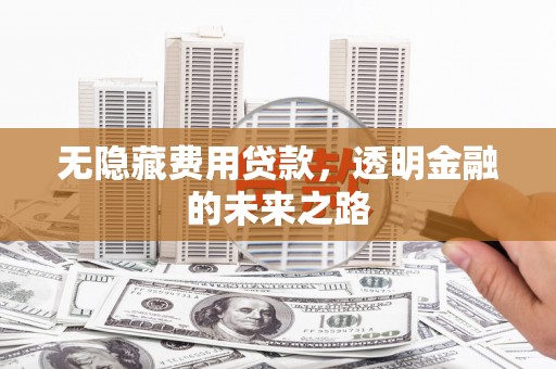 馆陶无隐藏费用贷款，透明金融的未来之路