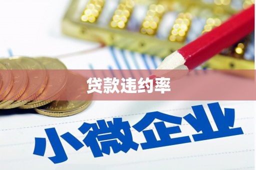 光泽贷款违约率