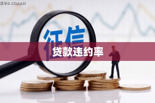 宁海贷款违约率