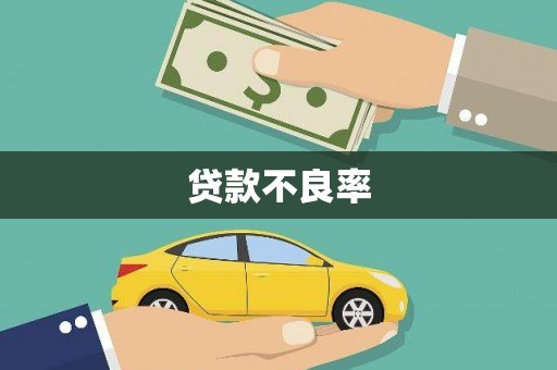 秀山贷款不良率
