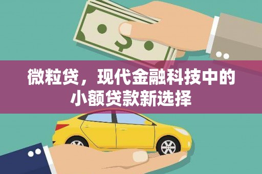 杭锦后旗微粒贷，现代金融科技中的小额贷款新选择