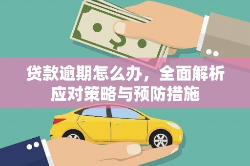 洋山贷款逾期怎么办，全面解析应对策略与预防措施