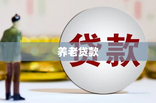 浔阳养老贷款