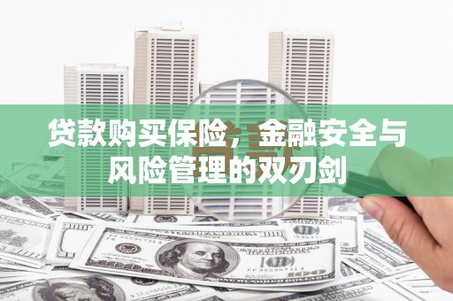 天元贷款购买保险，金融安全与风险管理的双刃剑