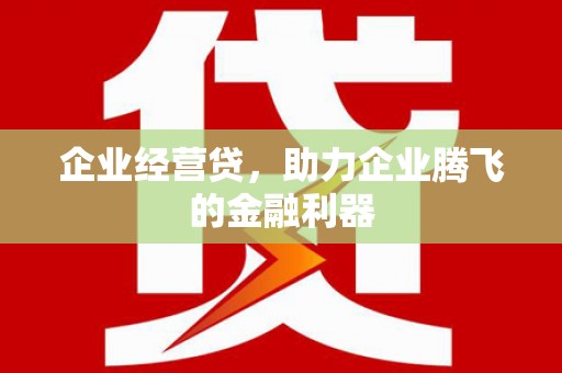 辽源企业经营贷，助力企业腾飞的金融利器
