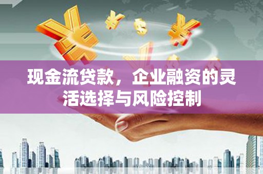 衡东现金流贷款，企业融资的灵活选择与风险控制