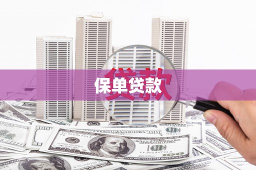 柳南保单贷款