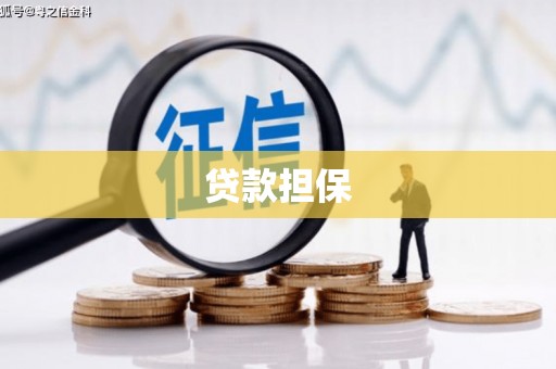 武隆贷款担保