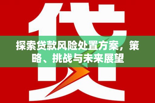 宁夏探索贷款风险处置方案，策略、挑战与未来展望