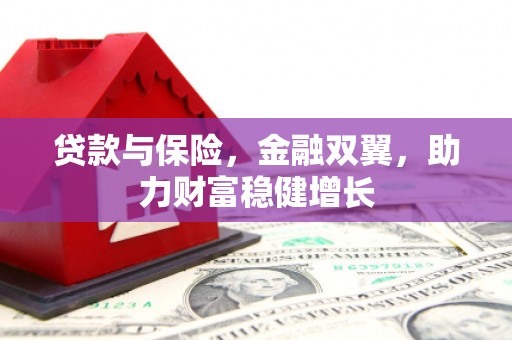 公安贷款与保险，金融双翼，助力财富稳健增长
