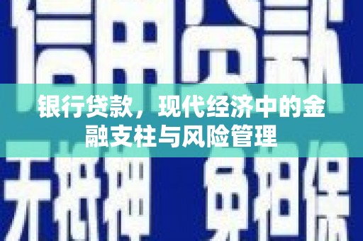 来宾银行贷款，现代经济中的金融支柱与风险管理
