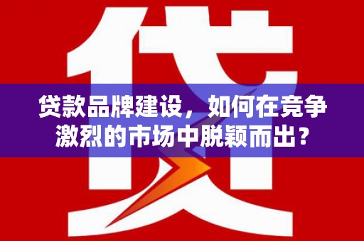 洋县贷款品牌建设，如何在竞争激烈的市场中脱颖而出？