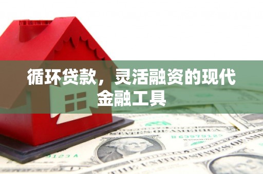 洪雅循环贷款，灵活融资的现代金融工具