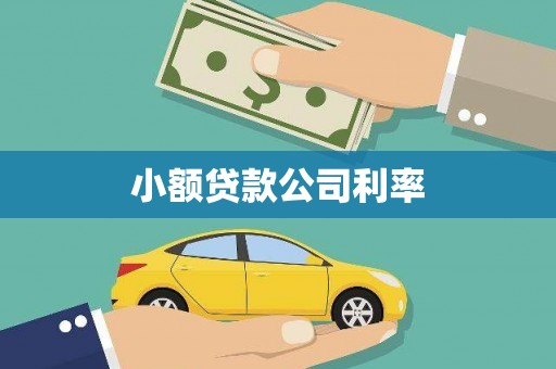 荔城小额贷款公司利率