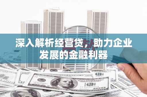芦山深入解析经营贷，助力企业发展的金融利器