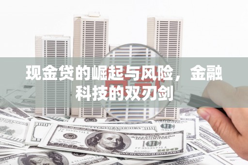 六横现金贷的崛起与风险，金融科技的双刃剑
