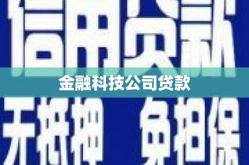 任城金融科技公司贷款