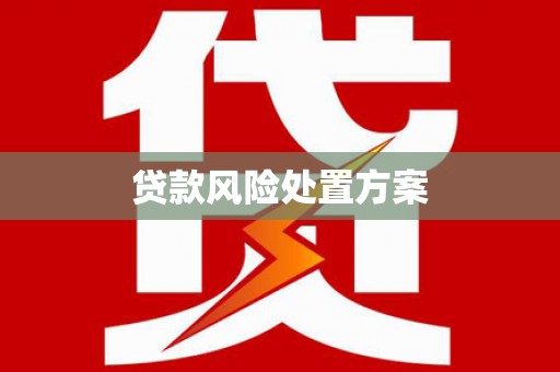 西市贷款风险处置方案