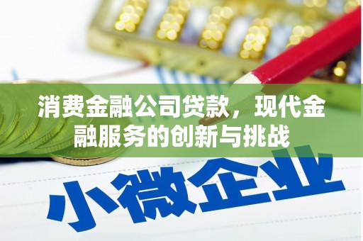 巴里坤消费金融公司贷款，现代金融服务的创新与挑战