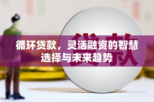福清循环贷款，灵活融资的智慧选择与未来趋势