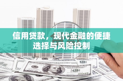 西海岸信用贷款，现代金融的便捷选择与风险控制