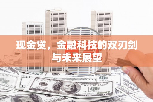 米东现金贷，金融科技的双刃剑与未来展望