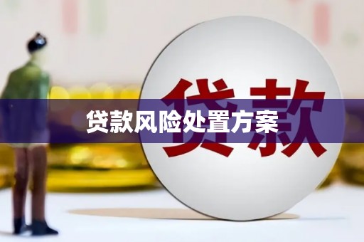 疏附贷款风险处置方案