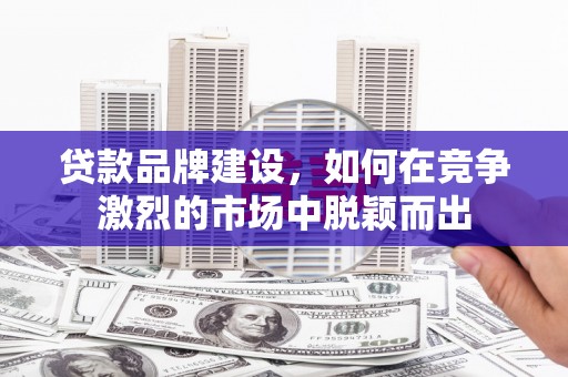 武川贷款品牌建设，如何在竞争激烈的市场中脱颖而出
