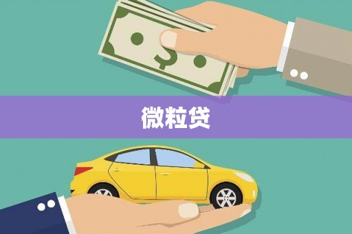 崖州微粒贷