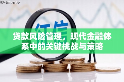 赤壁贷款风险管理，现代金融体系中的关键挑战与策略
