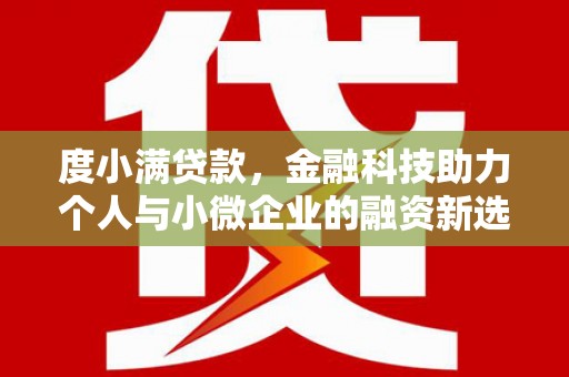 武隆度小满贷款，金融科技助力个人与小微企业的融资新选择
