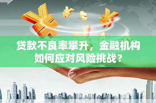 凌源贷款不良率攀升，金融机构如何应对风险挑战？