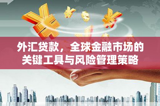 昆都仑外汇贷款，全球金融市场的关键工具与风险管理策略