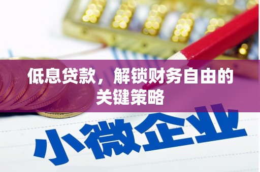 边坝低息贷款，解锁财务自由的关键策略