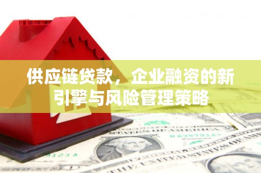 宁夏供应链贷款，企业融资的新引擎与风险管理策略