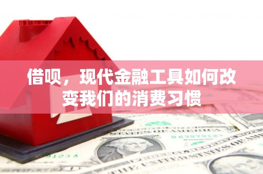 定兴借呗，现代金融工具如何改变我们的消费习惯