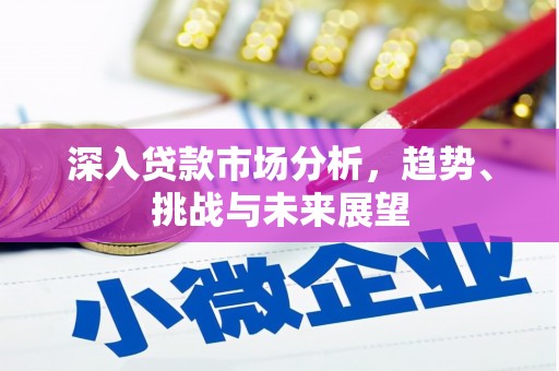 沙雅深入贷款市场分析，趋势、挑战与未来展望