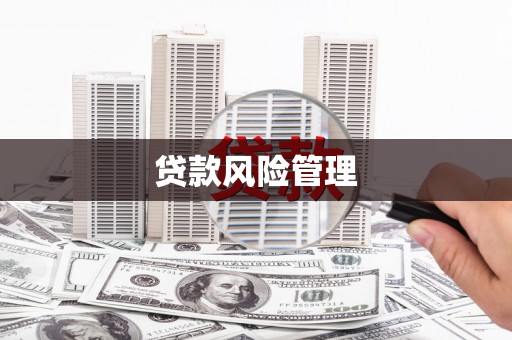 微山贷款风险管理